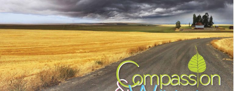 Compassion & Well-being in troubled times